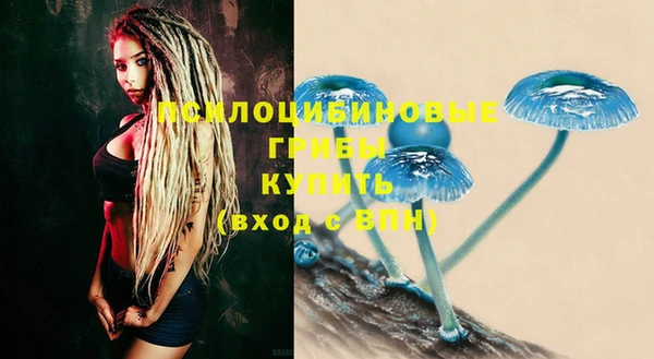 круглые Новозыбков